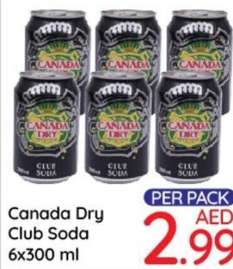 Day To Day Canada Dry Club Soda 6x300 ml offer