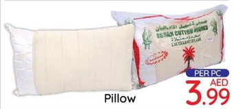 Day To Day Pillow offer