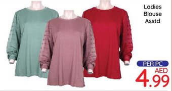 Day To Day Ladies Blouse offer