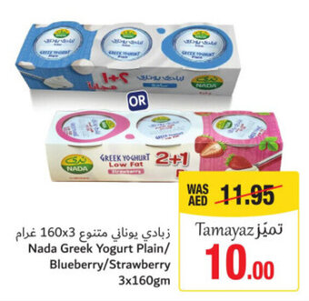 Union Coop Nada Greek Yogurt Plain/ Blueberry/Strawberry 3x160gm offer