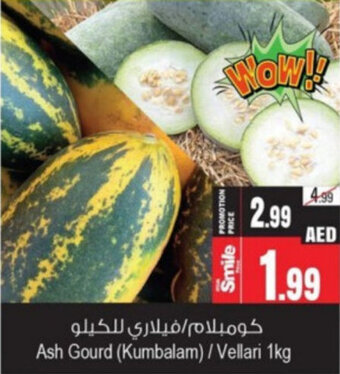 Ansar Mall Ash Gourd /Vellari 1kg offer