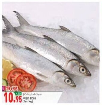 KM Trading MILK FISH (Per kg) offer