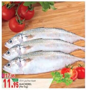 KM Trading MACKEREL (Per kg) offer