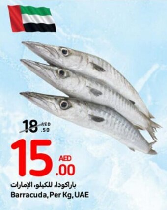 Carrefour Barracuda, Per Kg offer