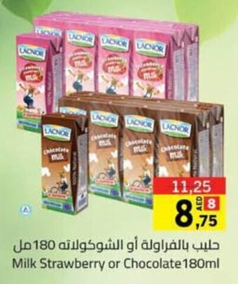 Sharjah Co-op Milk Strawberry or Chocolate 180ml offer