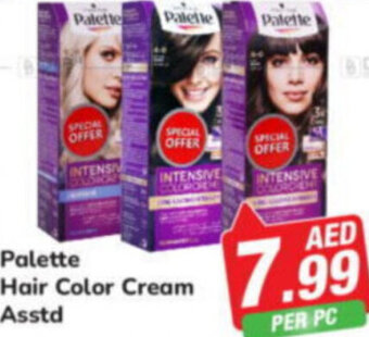 Day To Day Palette Hair Color Cream Asstd offer