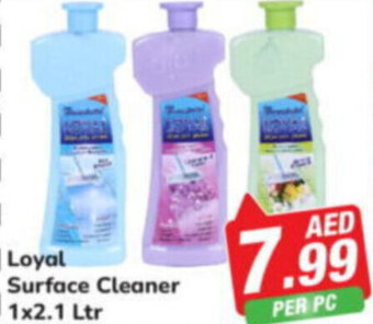 Day To Day Loyal Surface Cleaner 1x2.1 Ltr offer