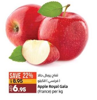Lulu Hypermarket Apple Royal Gala (France) per kg offer
