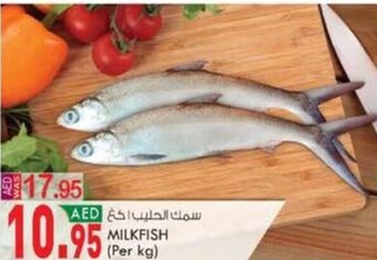 KM Trading MILKFISH (Per kg) offer