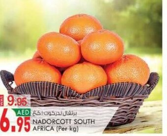 KM Trading NADORCOTT SOUTH AFRICA (Per kg) offer