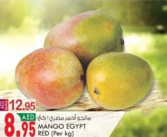KM Trading MANGO EGYPT RED (Per kg) offer