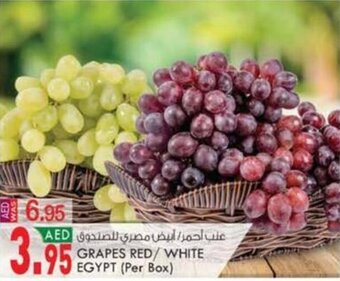 KM Trading GRAPES RED/WHITE EGYPT (Per Box) offer