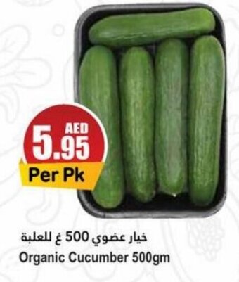 Almaya supermarket Organic Cucumber 500gm offer