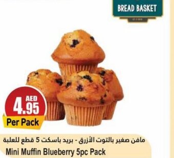 Almaya supermarket Mini Muffin Blueberry 5pc Pack offer