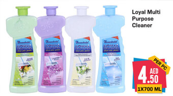 Day To Day Loyal Multi Purpose Cleaner offer
