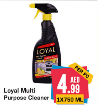 Day To Day Loyal Multi Purpose Cleaner 1X750 ML offer