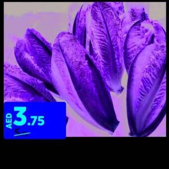 Aswaaq LETTUCE ROMAINE offer