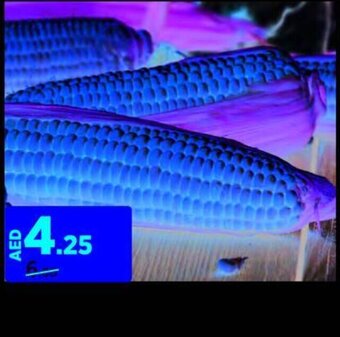 Aswaaq SWEET CORN offer