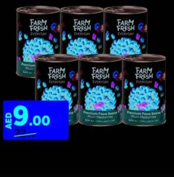 Aswaaq FARM FRESH PREMIUM FAVA BEANS PLAIN MEDAMES 6 X450G offer