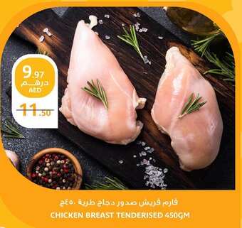 Aswaaq CHICKEN BREAST TENDERISED 450GM offer