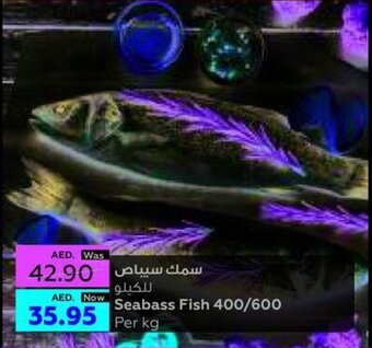 Al Ain Co-op Seabass Fish 400/600 Per kg offer