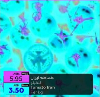 Al Ain Co-op Tomato Iran Per kg offer