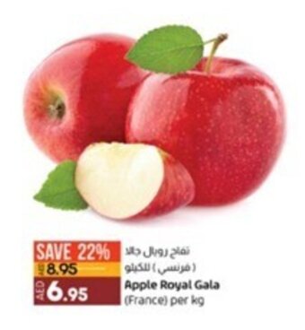 Lulu Hypermarket Apple Royal Gala (France) per kg offer