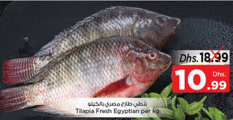 Nesto Tilapia Fresh offer