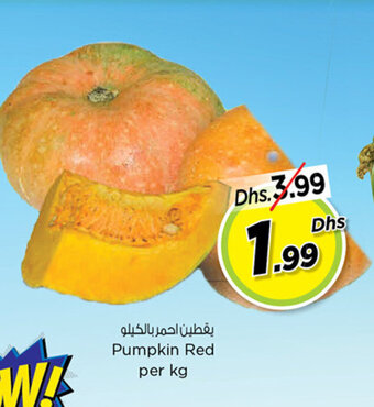 Nesto Pumpkin Red offer