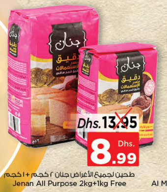 Nesto Jenan All Purpose offer