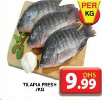 Grand Mall Sharjah TILAPIA FRESH /KG offer
