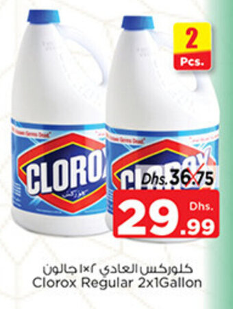 Nesto Clorox Regular 2x1Gallon offer