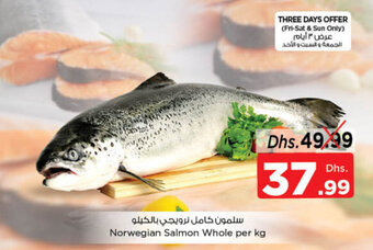 Nesto Norwegian Salmon Whole offer