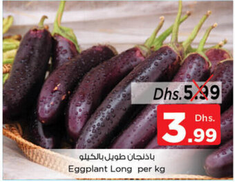 Nesto Eggplant Long offer