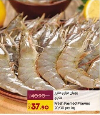 Lulu Hypermarket Fresh Farmed Prawns 20 / 30 per kg offer
