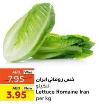 Lettuce Romaine Iran