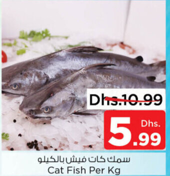 Nesto Cat Fish Per Kg offer