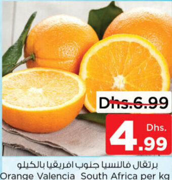Nesto Orange Valencia South Africa per kg offer
