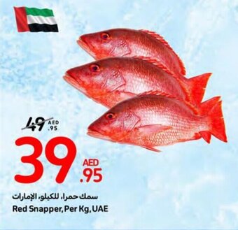 Carrefour Red Snapper offer