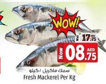 Kenz Hypermarket Fresh Mackerel offer