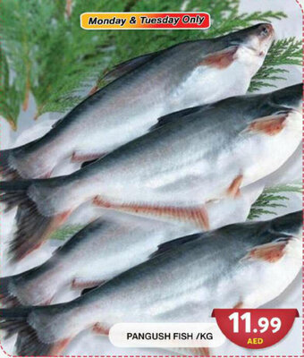Grand Hyper Market PANGUSH FISH offer