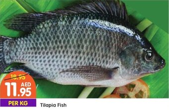 West Zone Supermarket Tilapia Fish offer