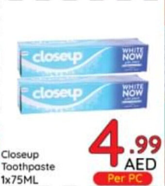 Day To Day Closeup Toothpaste 1x75ML offer