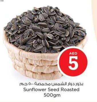 Nesto Sunflower Seed Roasted 500gm offer