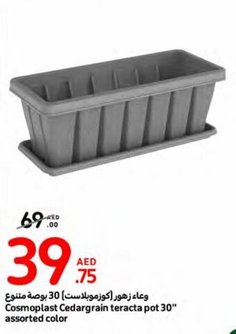 Carrefour Cosmoplast Cedargrain teracta pot 30" assorted color offer