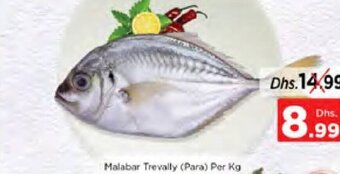 Nesto Malabar Trevally (Para) Per Kg offer
