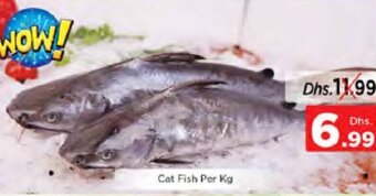 Nesto Cat Fish Per Kg offer