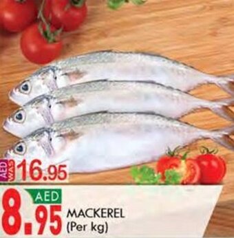 KM Trading MACKEREL offer