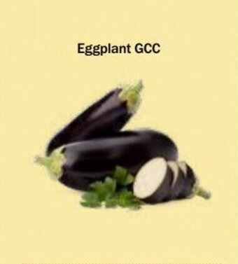 Choithrams Eggplant GCC offer