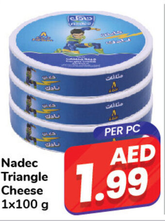 Day To Day Nadec Triangle Cheese 1x100 g offer